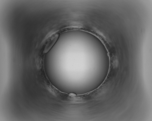 X0000115541448200911061451