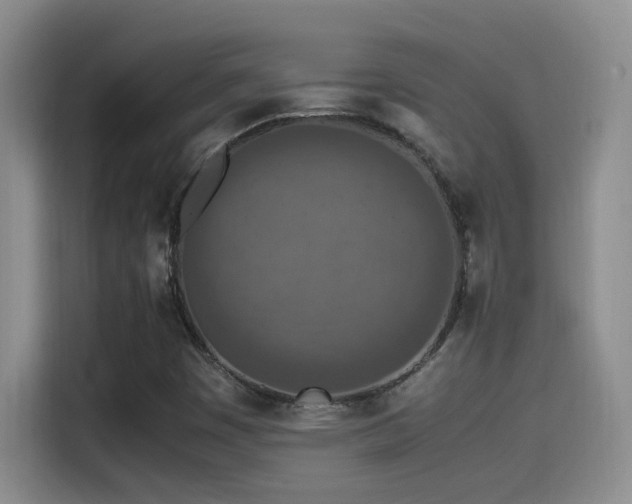 X0000115541449200911061451