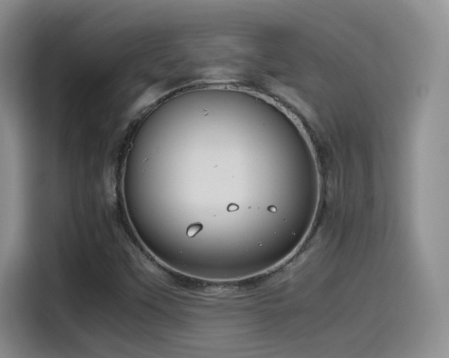 X0000115541451200911061450