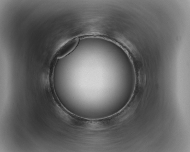 X0000115541452200911061450