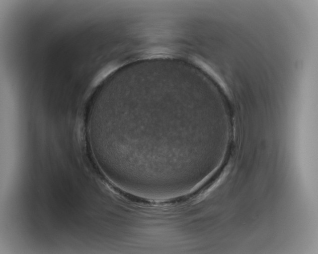 X0000115541453200911061450