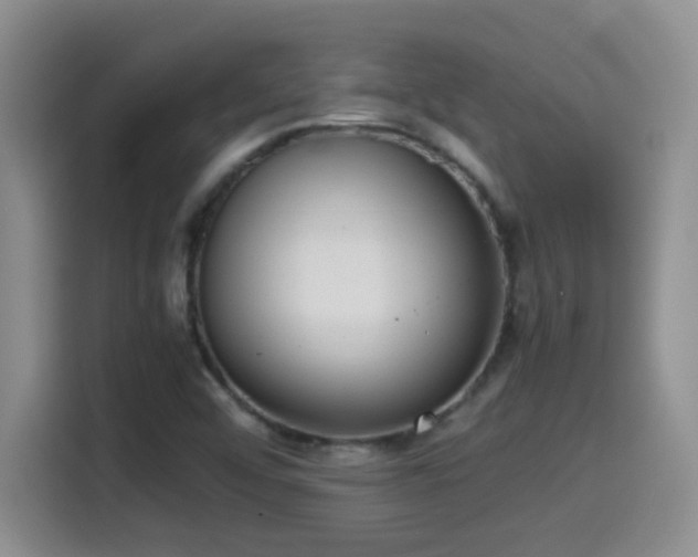 X0000115541456200911061450