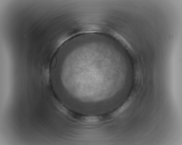 X0000115541457200911061450