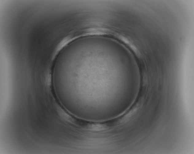 X0000115541459200911061450