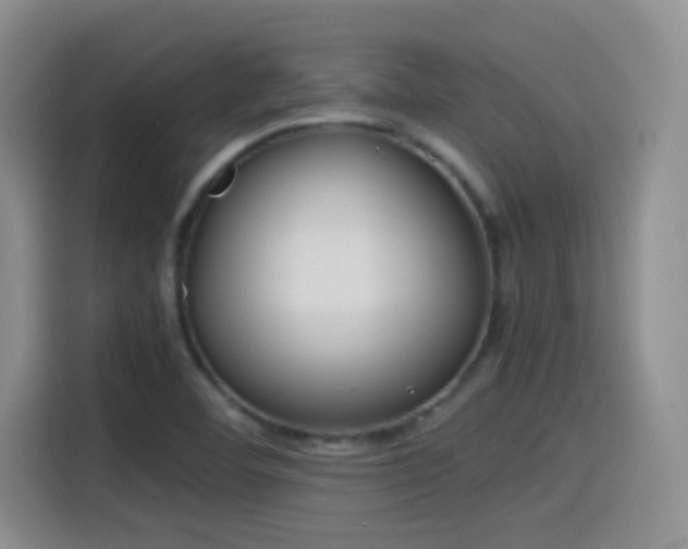 X0000115541460200911061450