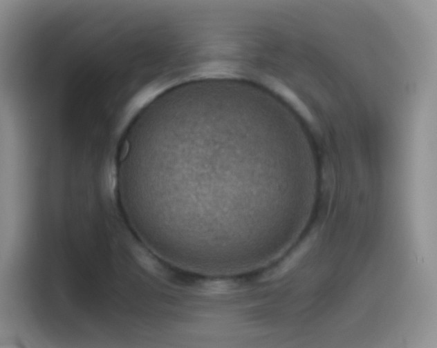 X0000115541461200911061450