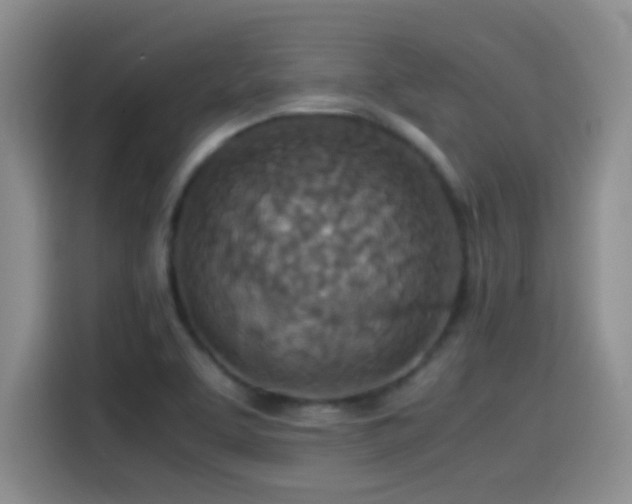 X0000115541463200911061450