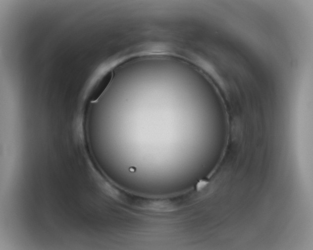 X0000115541464200911061450