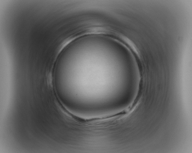 X0000115541465200911061450