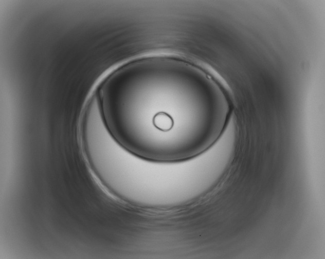 X0000115541468200911061450