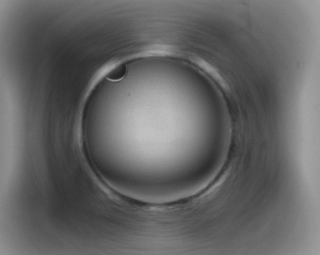 X0000115541469200911061450