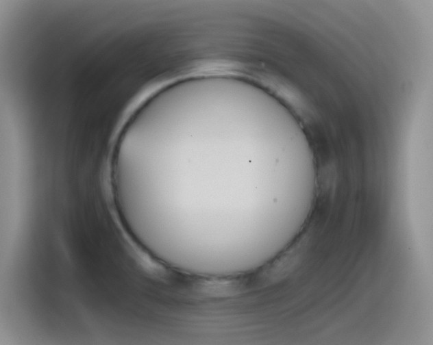 X0000115541470200911061450