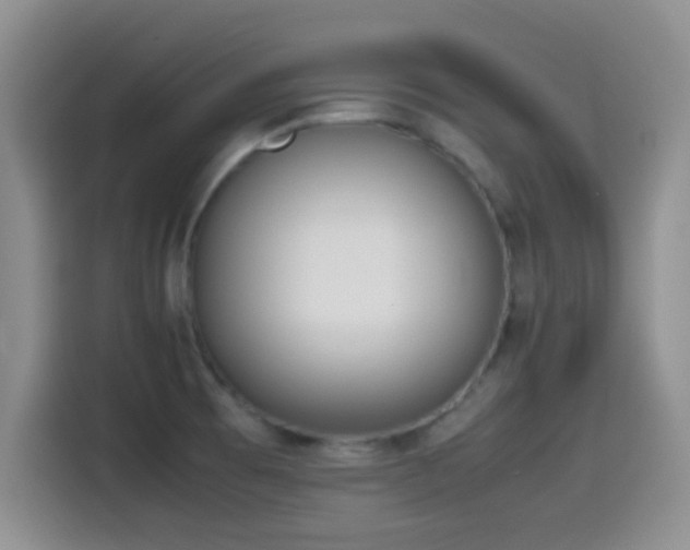 X0000115541473200911061450