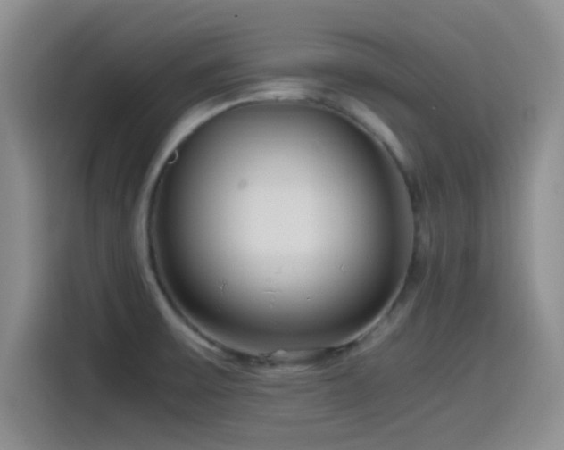 X0000115541475200911061450