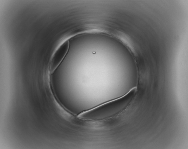 X0000115541476200911061450