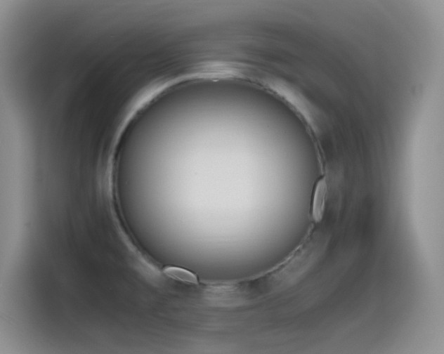 X0000115541477200911061450