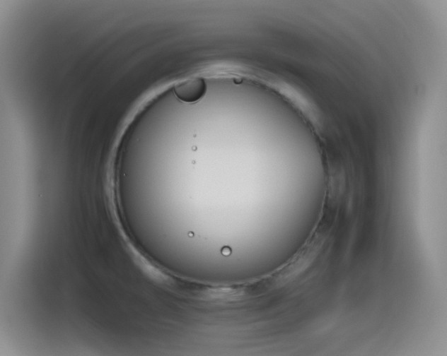 X0000115541478200911061450