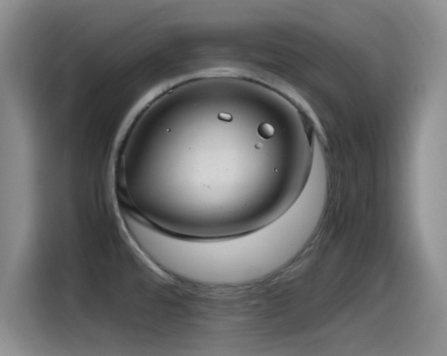 X0000115541480200911061450