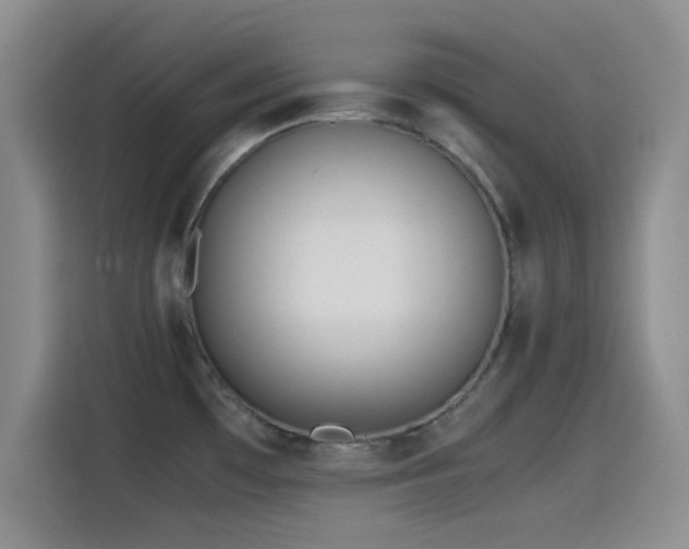 X0000115541481200911061450