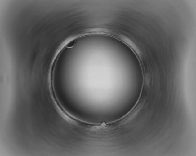 X0000115541482200911061450