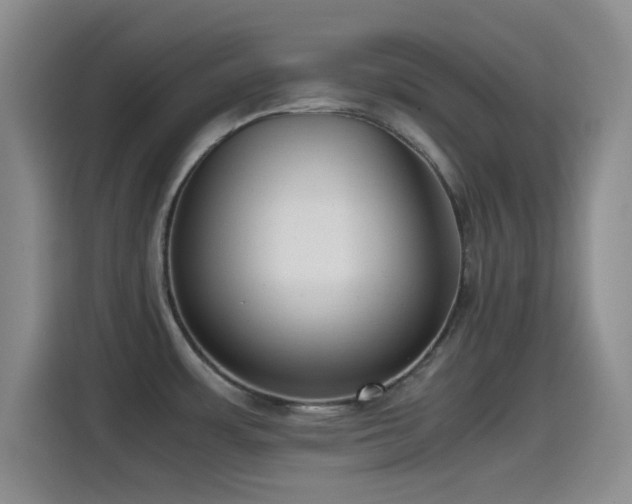 X0000115541483200911061450