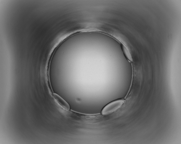 X0000115541485200911061450