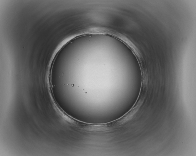 X0000115541486200911061450