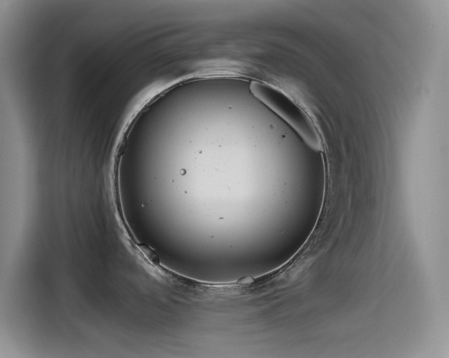 X0000115541488200911061450