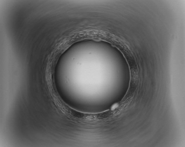 X0000115541489200911061449