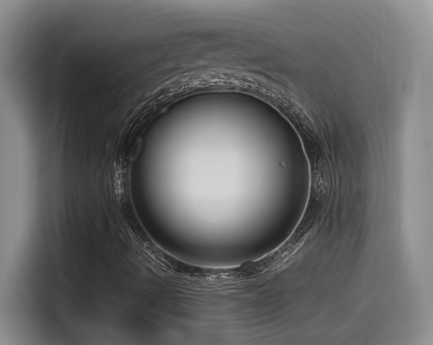 X0000115541490200911061449