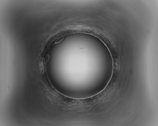 X0000115541493200911061449