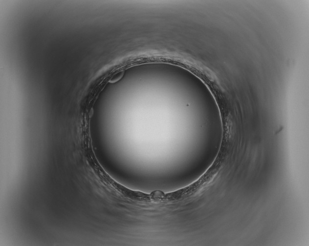 X0000115541494200911061449