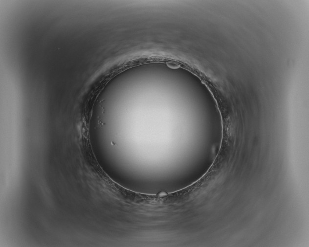 X0000115541495200911061449