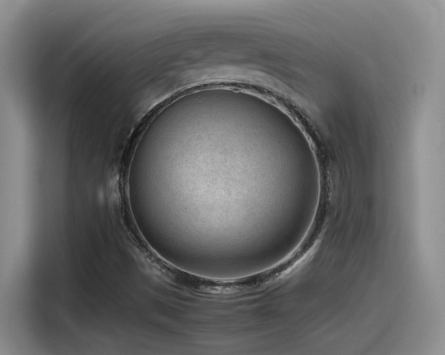 X0000115541497200911061449