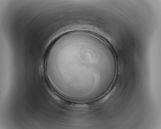 X0000115541498200911061449