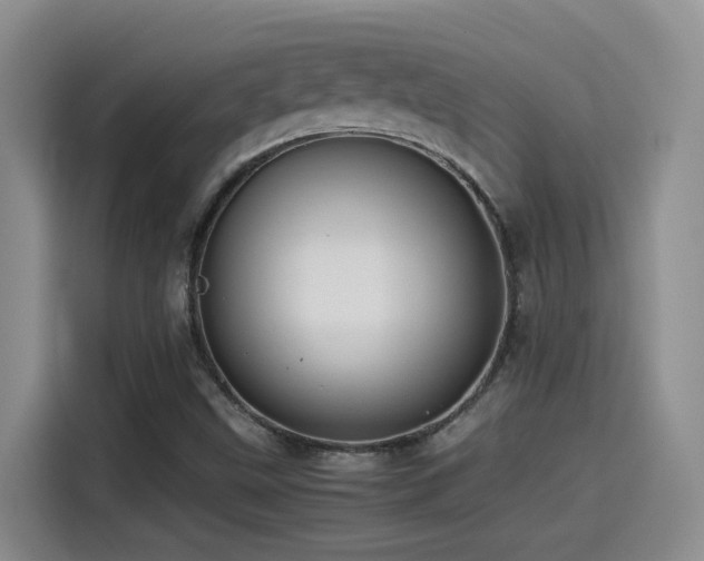 X0000115541499200911061450