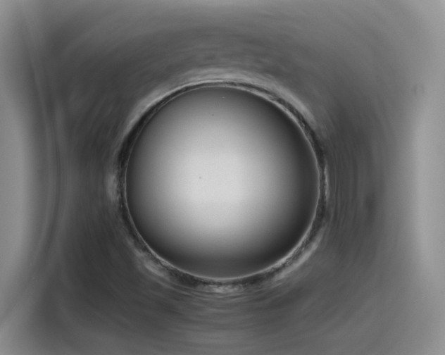 X0000115541501200911061450