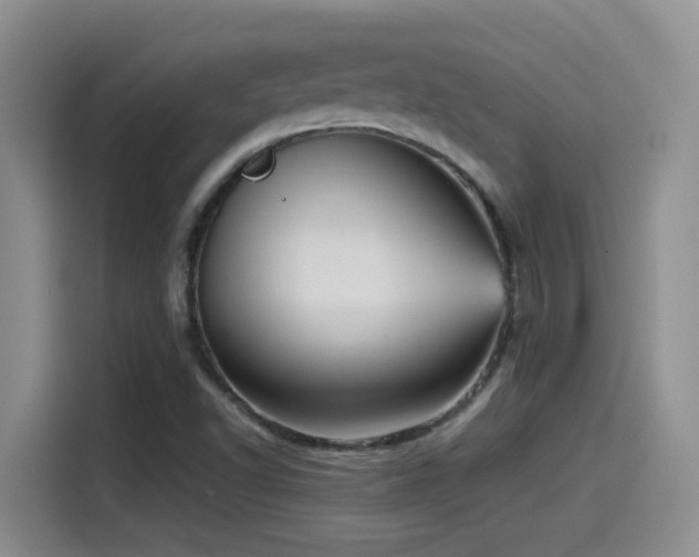 X0000115541502200911061450