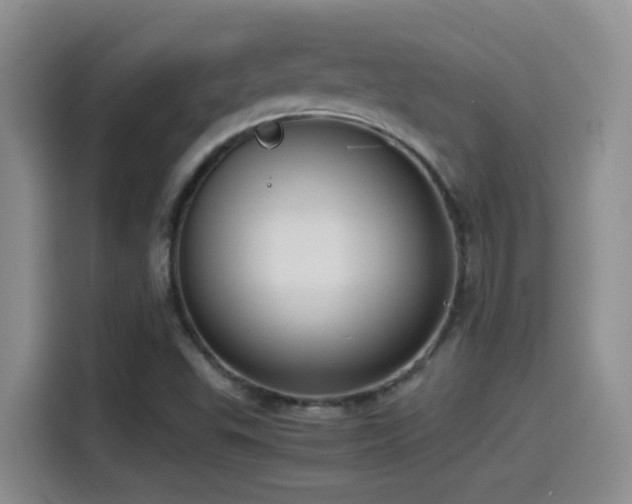 X0000115541503200911061450