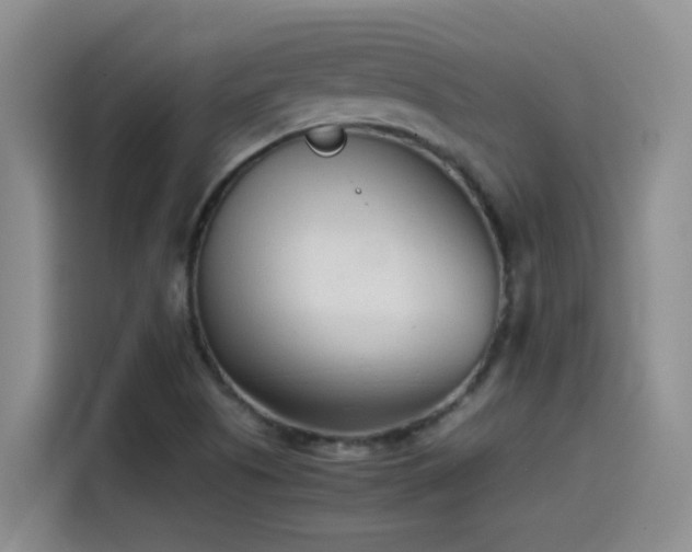 X0000115541505200911061450