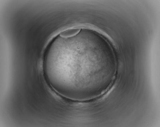 X0000115541506200911061450