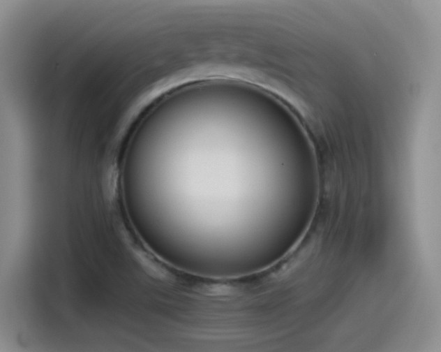 X0000115541507200911061450