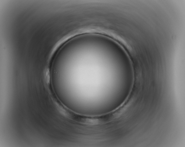 X0000115541509200911061450