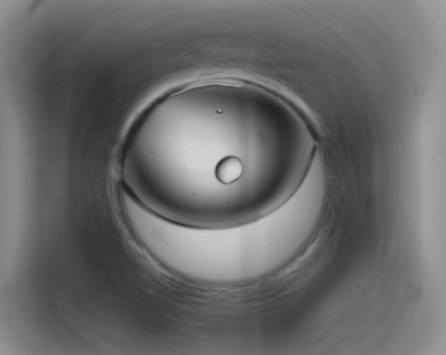 X0000115541510200911061450