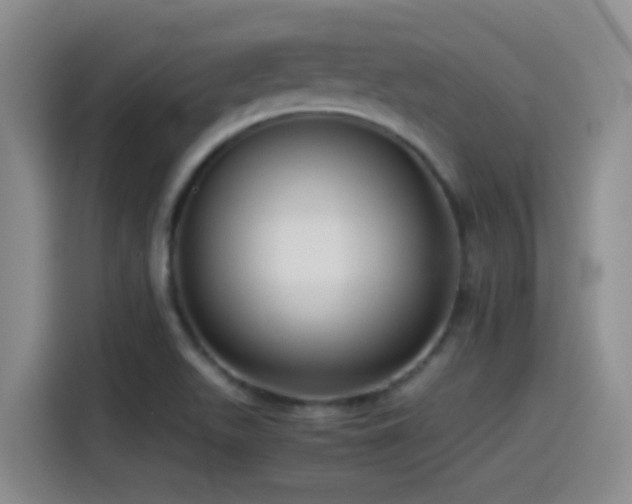 X0000115541511200911061450