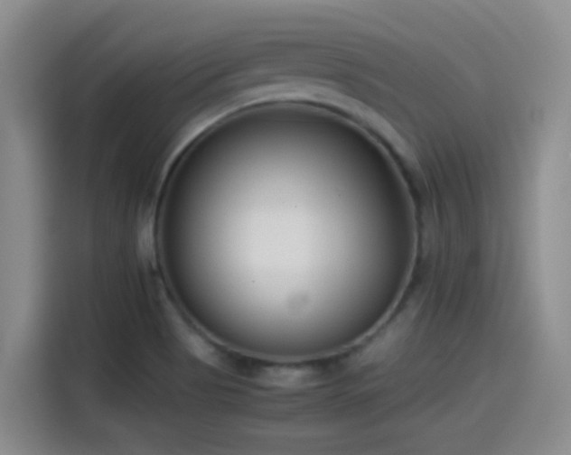 X0000115541513200911061450