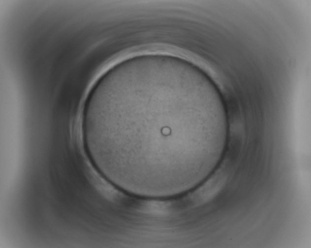 X0000115541514200911061450