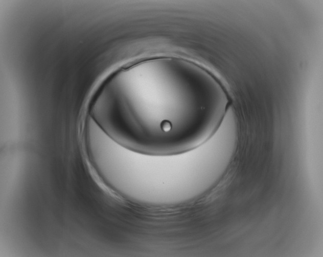 X0000115541515200911061450