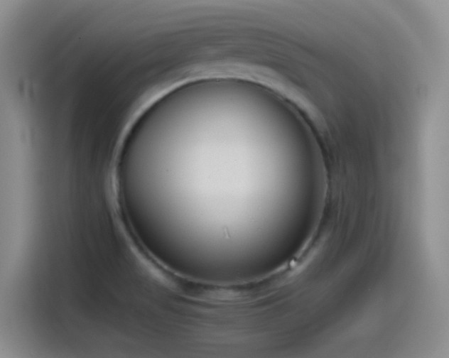 X0000115541517200911061450