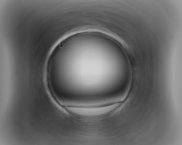 X0000115541518200911061450